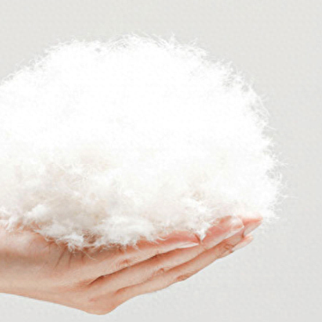 羽绒被子十大名牌排行榜(羽绒被推荐 品牌)插图8