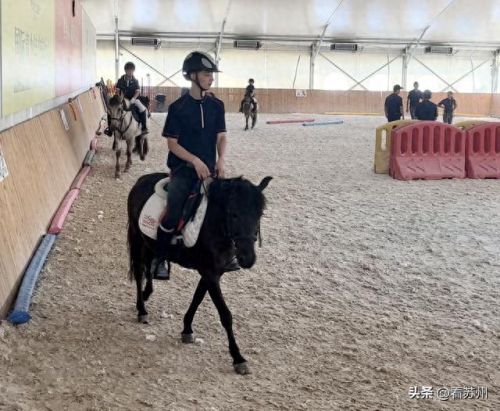 夜生活十大项目排行榜(休闲项目排行榜)插图2