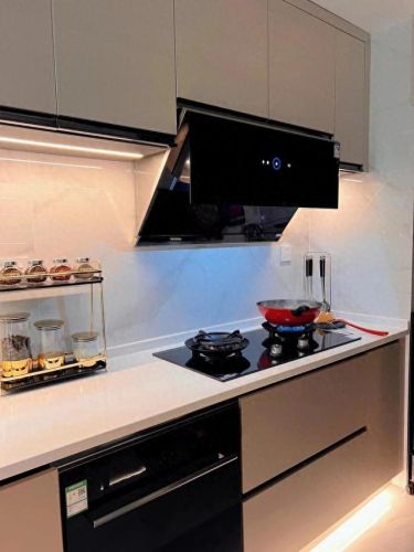 烟灶十大品牌排行榜及价格(烟灶十大品牌排行)插图9 烟灶十大品牌排行榜及价格(烟灶十大品牌排行)插图9