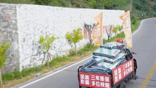 十大杂牌电动三轮排行榜(口碑最好十大电动车)插图2