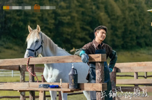 国内最新话剧排名前十(国内话剧女性角色)插图27