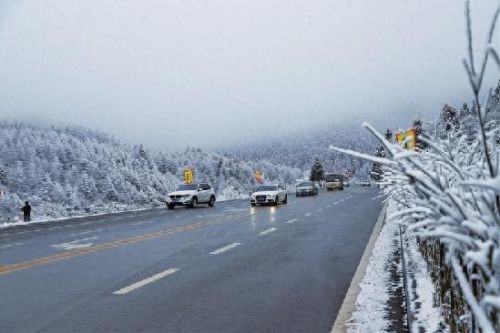 武隆婚礼公司排名前十(武隆哪家婚庆最好)插图 武隆婚礼公司排名前十(武隆哪家婚庆最好)插图