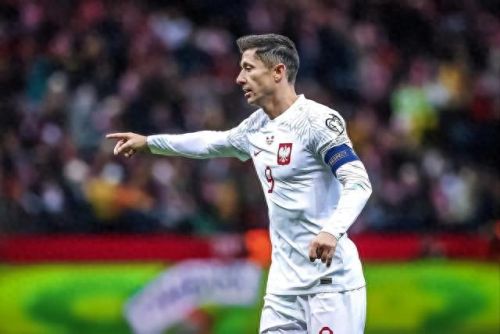 十大高难度进球排行榜最新(世界公认最强十大进球)插图4