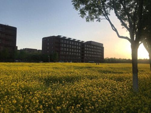 光学类期刊排名前十(中国光学期刊是ei吗)