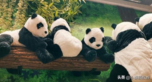 福州十大景点排名前十(福州最近很火的公园)插图7 福州十大景点排名前十(福州最近很火的公园)插图7