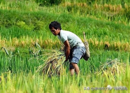 柳州十大摄影师排行榜图片(柳州全家福摄影前十名)插图18