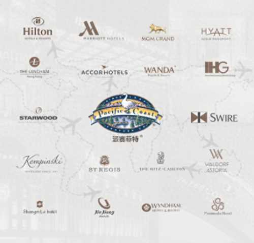 羽绒被子十大名牌排行榜(羽绒被推荐 品牌)插图