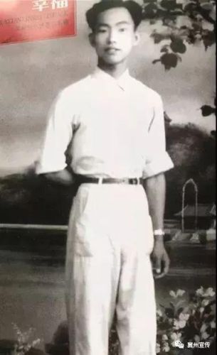 铡草机十大排行榜最新(铡草机哪个牌子好用)插图2