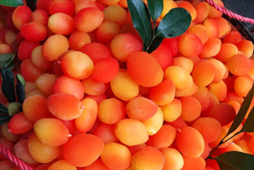 重庆十大特产店排行榜最新(重庆特产麻糖)