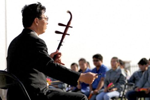 酒吧热门乐器排名前十(弦类乐器难度排名)插图4