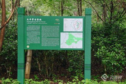 澜沧小众景点排名前十(澜沧东回景点)插图6 澜沧小众景点排名前十(澜沧东回景点)插图6