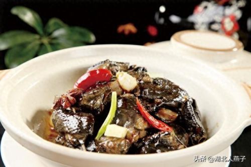 女士十大滋补品排行榜大全(女性经典滋补品)插图8