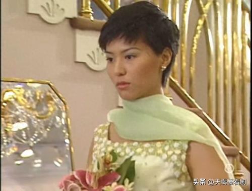 港剧十大警花排名前十(最好评十大港剧)插图1 港剧十大警花排名前十(最好评十大港剧)插图1