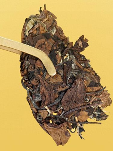 好喝的温性茶叶排行榜十大(中国最好喝的茶叶排名前五名)插图5