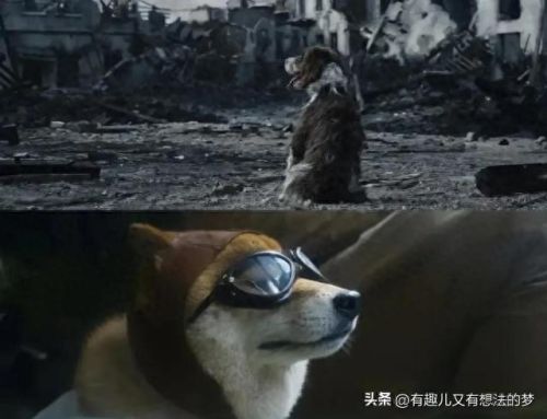 十大烧脑谍战片排行榜(10大谍战片排行榜)插图5