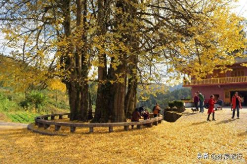 福建十大旅游景点排行榜图片(福建旅游必去十大景点)插图19 福建十大旅游景点排行榜图片(福建旅游必去十大景点)插图19