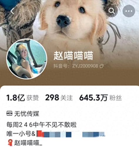 女主播月收入排名前十(唱歌主播一般收入多少)插图24