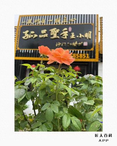 苏州核雕十大名家排行榜(苏州核雕一条街)插图2