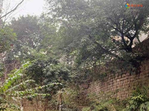 重庆十大城门楼盘排行榜(重庆十大最高端楼盘)插图11 重庆十大城门楼盘排行榜(重庆十大最高端楼盘)插图11