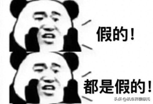 十大质量最差摩托车排行榜(十大最耐用摩托车排名)插图2