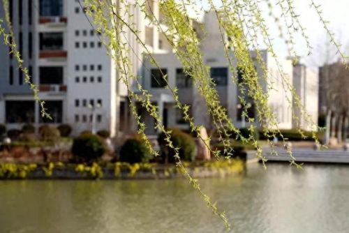 亳州地理老师排名前十(亳州一中安徽排名)插图12 亳州地理老师排名前十(亳州一中安徽排名)插图12