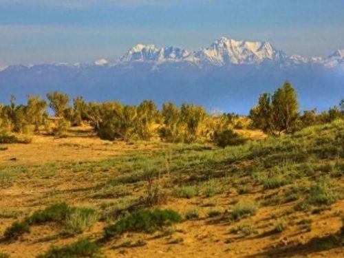 昌吉推荐景区排名前十(昌吉5a景点有哪些)插图4 昌吉推荐景区排名前十(昌吉5a景点有哪些)插图4