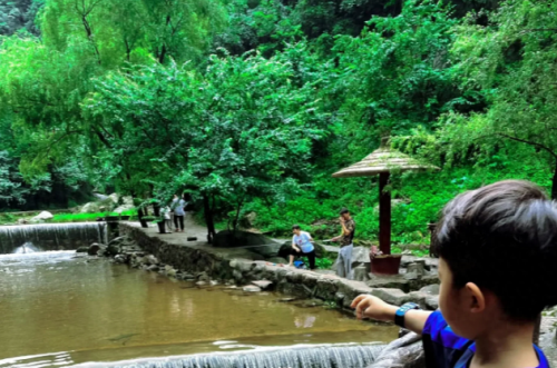 郑州水边餐厅排名前十(费县水边餐厅)插图19 郑州水边餐厅排名前十(费县水边餐厅)插图19
