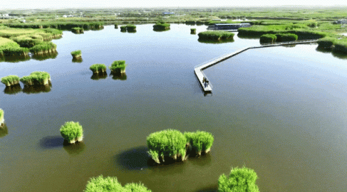 国内辣椒种植排名前十(各省种植辣椒量排名)插图3