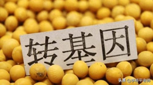 中国十大进口粮食排行榜表(中国进口粮食大全)插图8