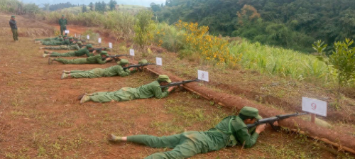 缅甸弹弓高手排名前十(日本弹弓高手)