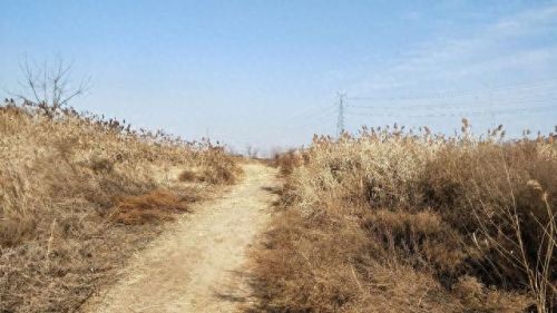 西安遛狗公司排名前十(西安遛狗事件最新消息)插图7 西安遛狗公司排名前十(西安遛狗事件最新消息)插图7