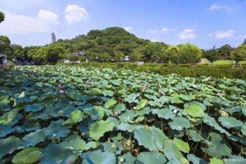 宁波游玩景区排名前十(宁波笔架山风景区)插图42 宁波游玩景区排名前十(宁波笔架山风景区)插图42