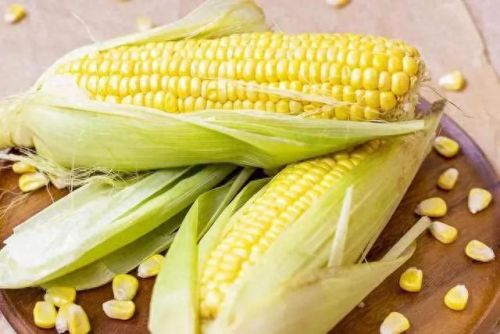 中国玉米产地十大排行榜(中国玉米种子十大品牌)插图5