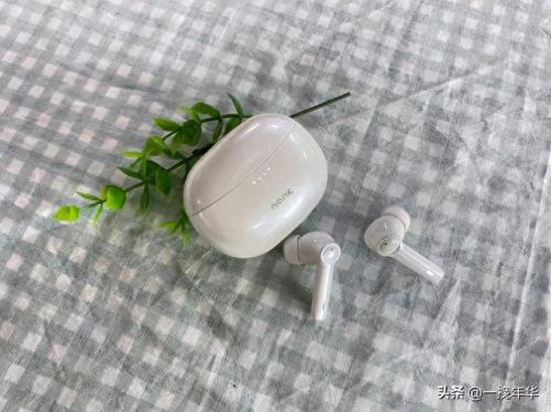 降噪耳机十大排行榜品牌(降噪耳机能不能隔绝打呼噜)插图3