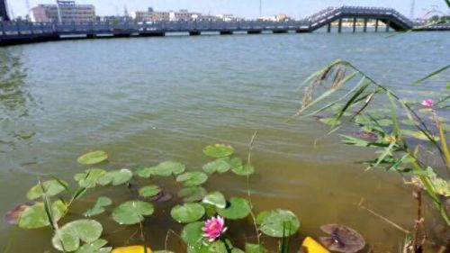 全国沿海县市排名前十(江苏沿海县排名)插图9 全国沿海县市排名前十(江苏沿海县排名)插图9