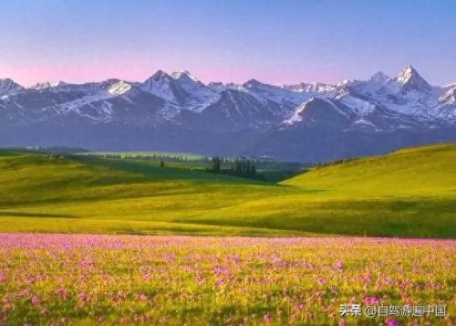 新疆十大最美大峡谷排行榜(新疆值得去的大峡谷)插图2