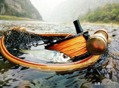 山西钓鱼品种排名前十(山西运城钓鱼的水库)插图1 山西钓鱼品种排名前十(山西运城钓鱼的水库)插图1