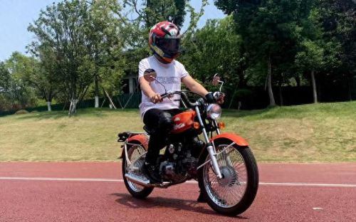 十大国产复古车品牌排行榜(国产复古太子前十名)插图8