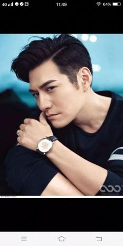 中国十大男明星最帅排行榜(中国最帅的十个男明星)插图7