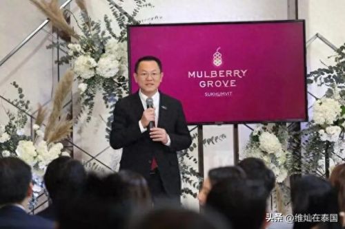 泰国最高豪宅排名前十(泰国女神miai豪宅)插图15 泰国最高豪宅排名前十(泰国女神miai豪宅)插图15