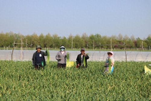 青岛十大鲜特产品牌排行榜(青岛特产去哪里买最好吃的)