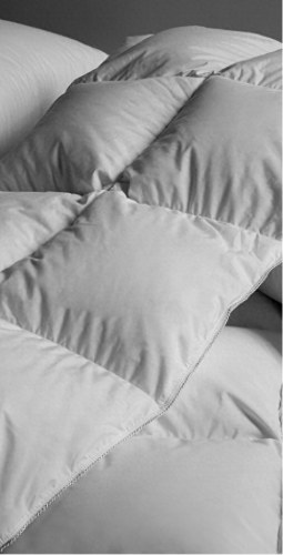 羽绒被子十大名牌排行榜(羽绒被推荐 品牌)插图14