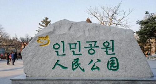 十大平壤面食排行榜第一(平壤玉流馆冷面)插图