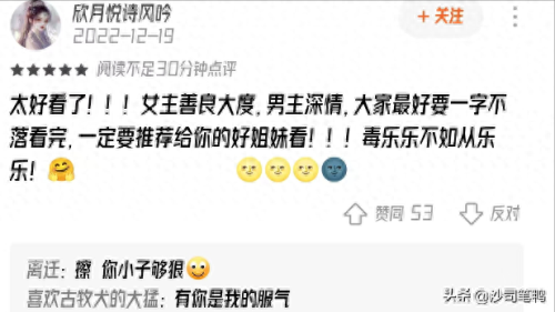 十大毁三观网文小说排行榜(女主三观正的小说)插图3