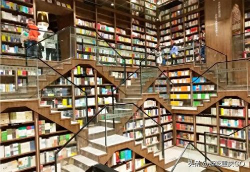 重庆免费景区排名前十(重庆恐龙公园免费)