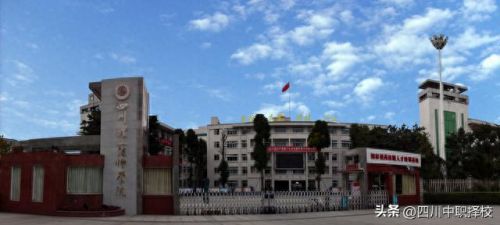 成都前十民办中职排名(成都排名前十职中学校)插图 成都前十民办中职排名(成都排名前十职中学校)插图