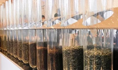 奶茶店十大坑人店排行榜(十大抖音网红奶茶)插图4