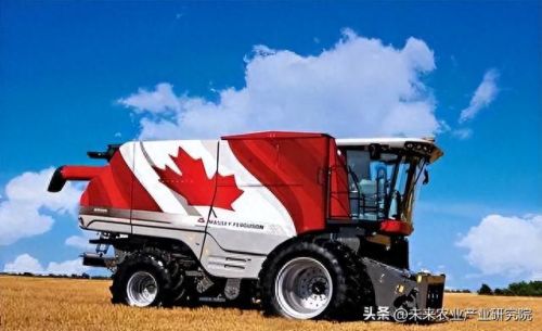 世界蔬果排名前十图片(世界粮食产量排名)插图3 世界蔬果排名前十图片(世界粮食产量排名)插图3