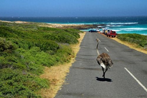 南非电力产能排名前十(南非电力部长动情致谢)插图3