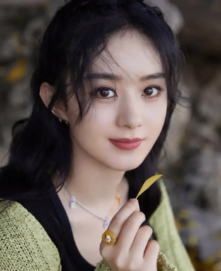 排名前十的明星富豪(盘点十大富豪明星)插图